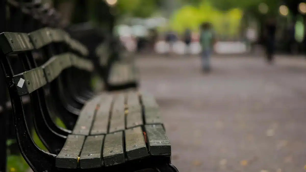 Peaceful park bench lined pathway in Central Park, New York City, with soft bokeh effect.