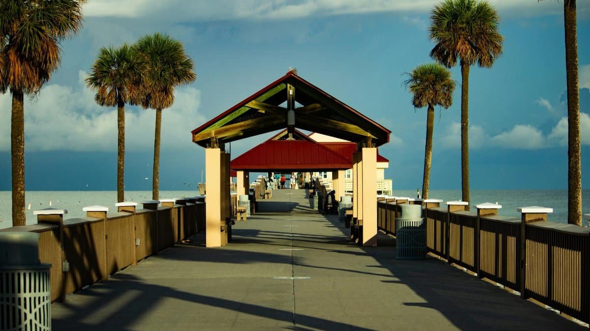 A beautiful summer day at a pier in Clearwater Beach, Florida, with palm trees and ocean views.