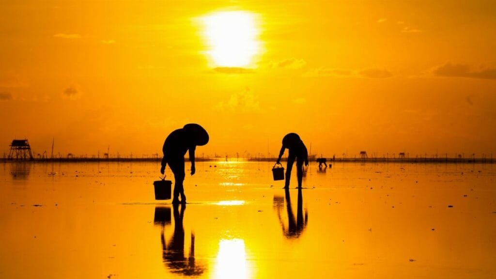 Fishermen silhouetted against a golden sunrise, reflecting on a tranquil beach.