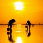 Fishermen silhouetted against a golden sunrise, reflecting on a tranquil beach.