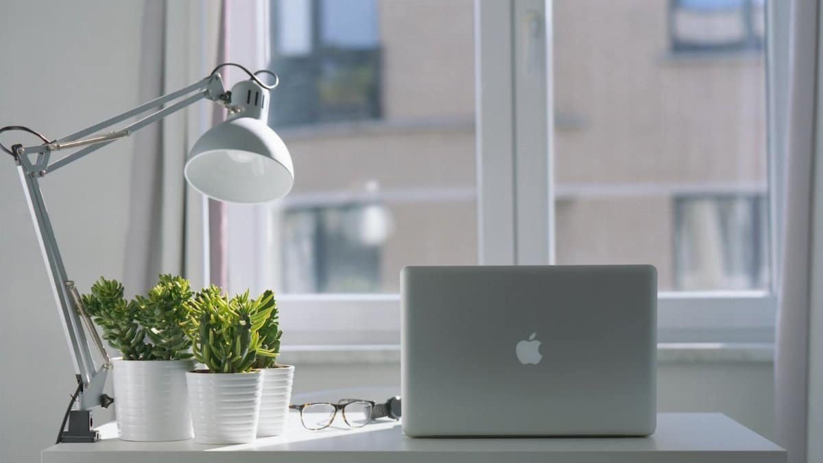 Bright modern workspace with laptop, potted plants, and desk lamp near a window.