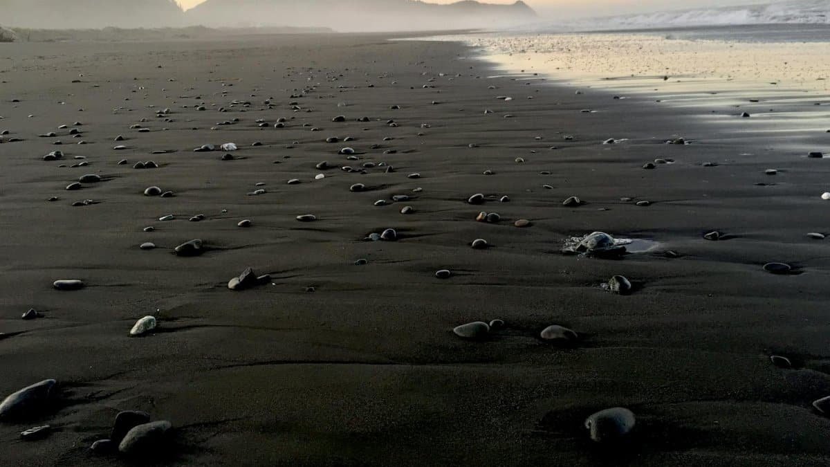 Tranquil sunrise over Gold Beach, Oregon, with misty coastline and gentle waves.