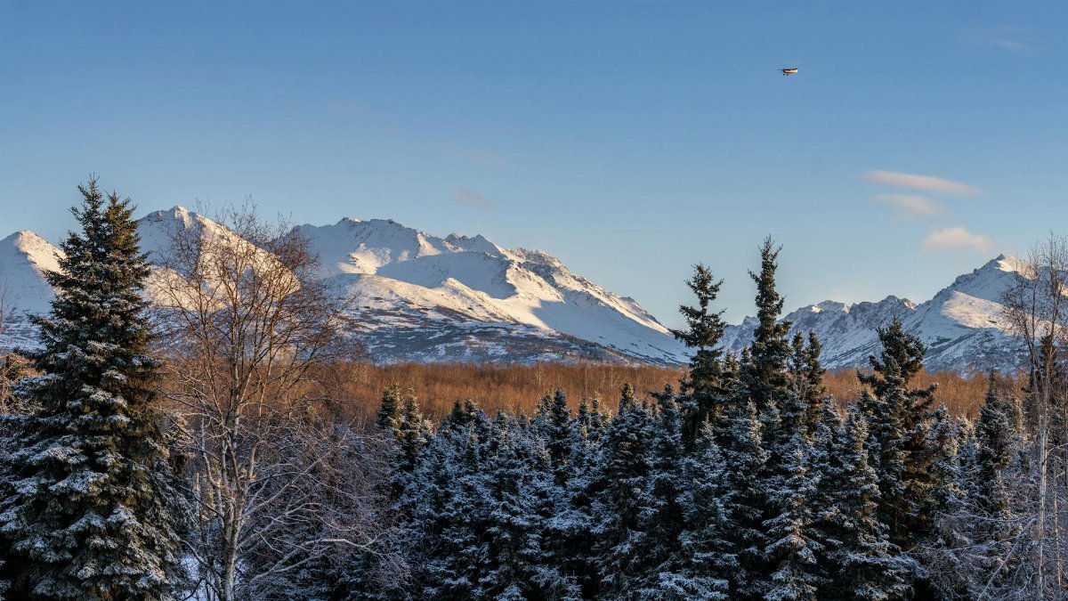 A serene winter landscape in Anchorage, Alaska showcasing snowy mountains and forest trees under a clear sky.