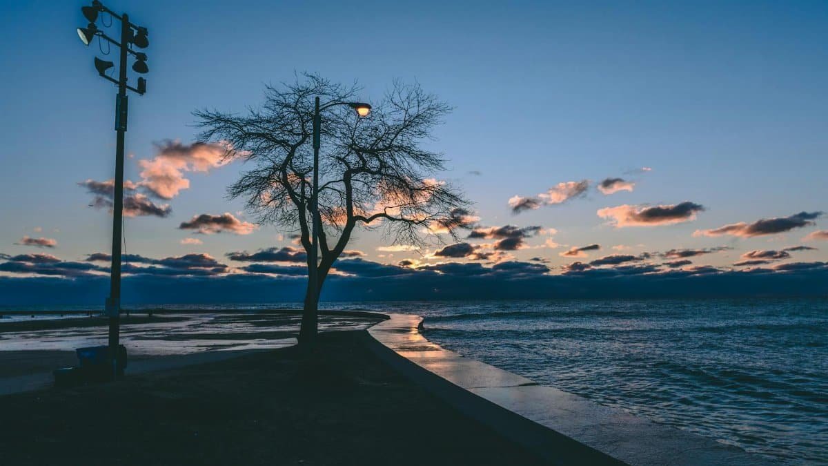 Peaceful twilight view of Chicago lakeshore with silhouetted tree and calm waters.