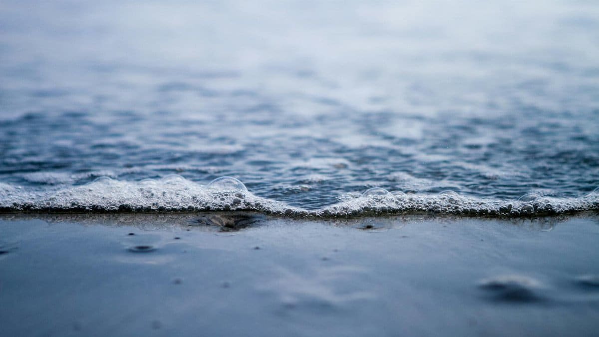 Close-up of gentle sea foam and sand on Hilton Head Island shore, SC.