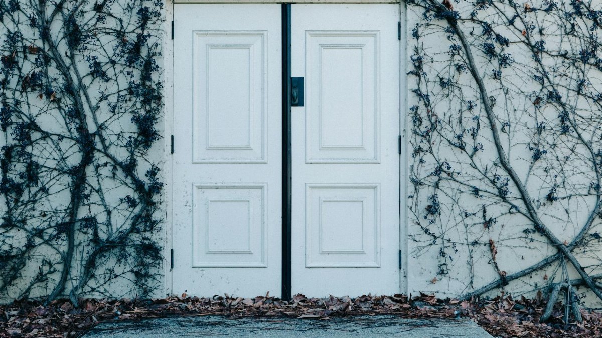 A white door surrounded by ivy and dry leaves on a rustic exterior wall.