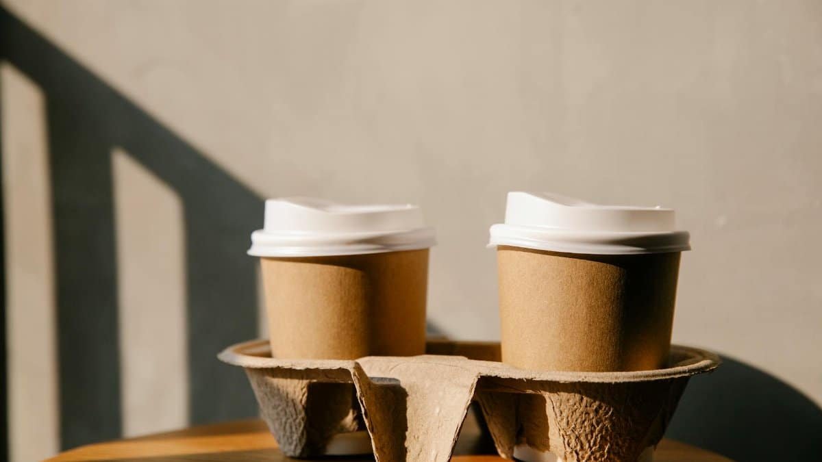 Two disposable coffee cups on a table with soft sunlight creating shadows, emphasizing eco-friendly packaging.