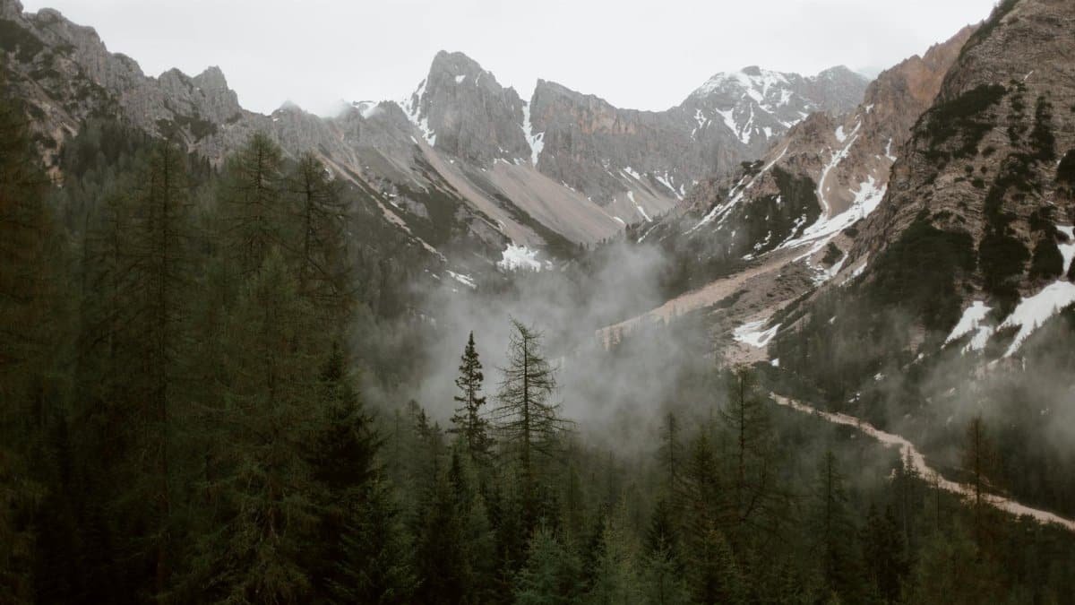 High angle of green forest and steep slopes of high mountains in cloudy day
