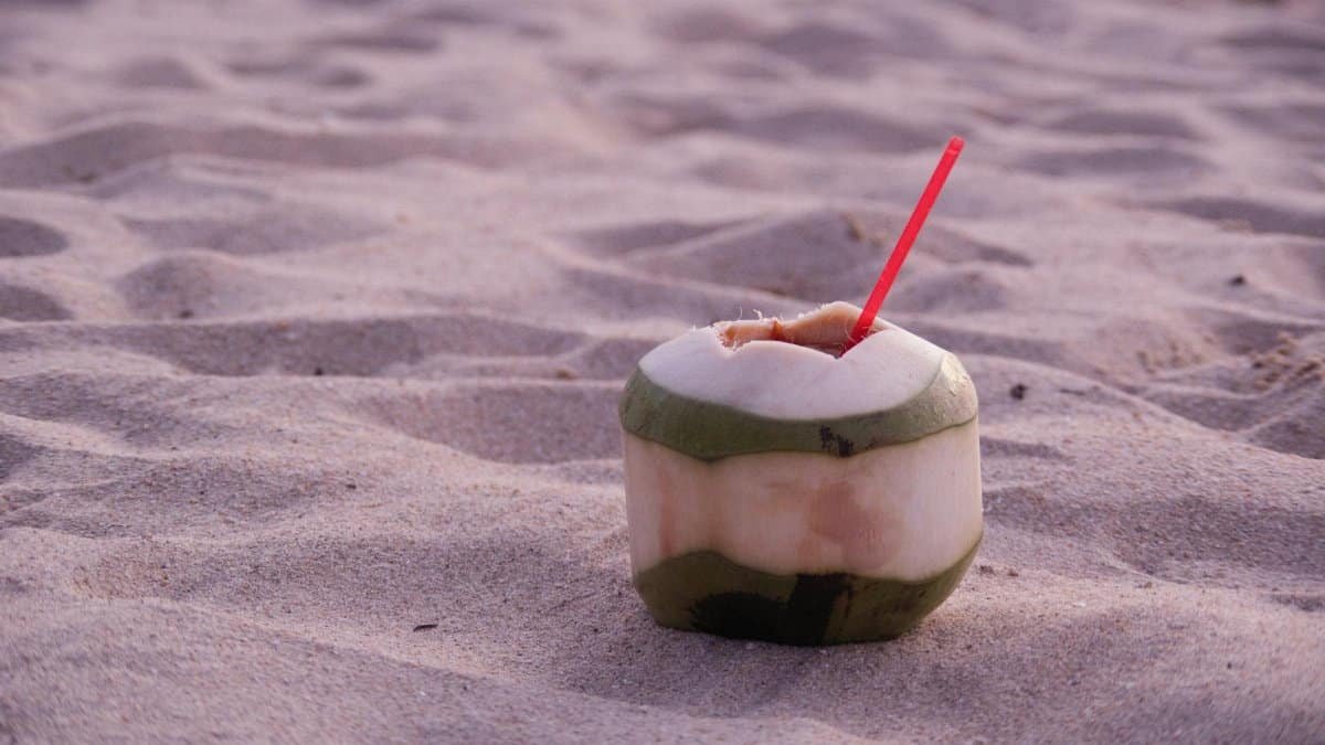 Refreshing coconut drink with straw on sandy beach during sunset, perfect tropical getaway vibe.