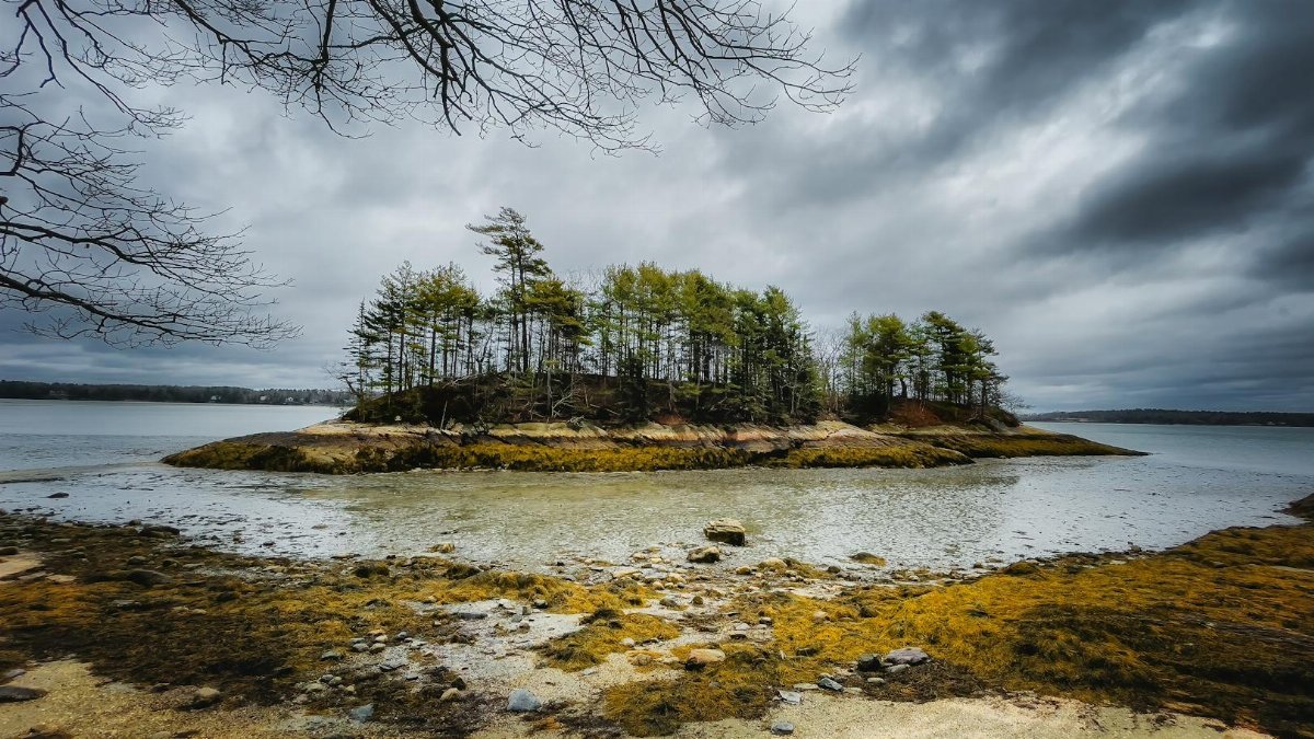 Scenic view of rugged coast against ocean with trees on small island under cloudy sky in daytime