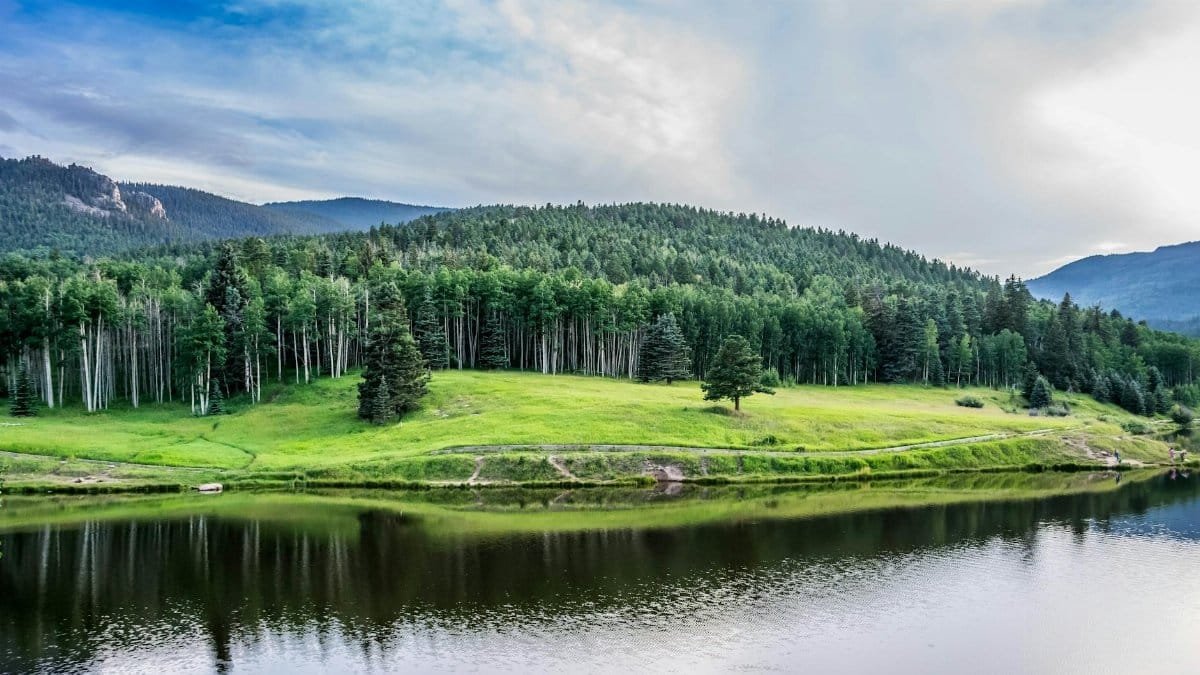 Beautiful summer landscape with lush trees and water reflections in Colorado.