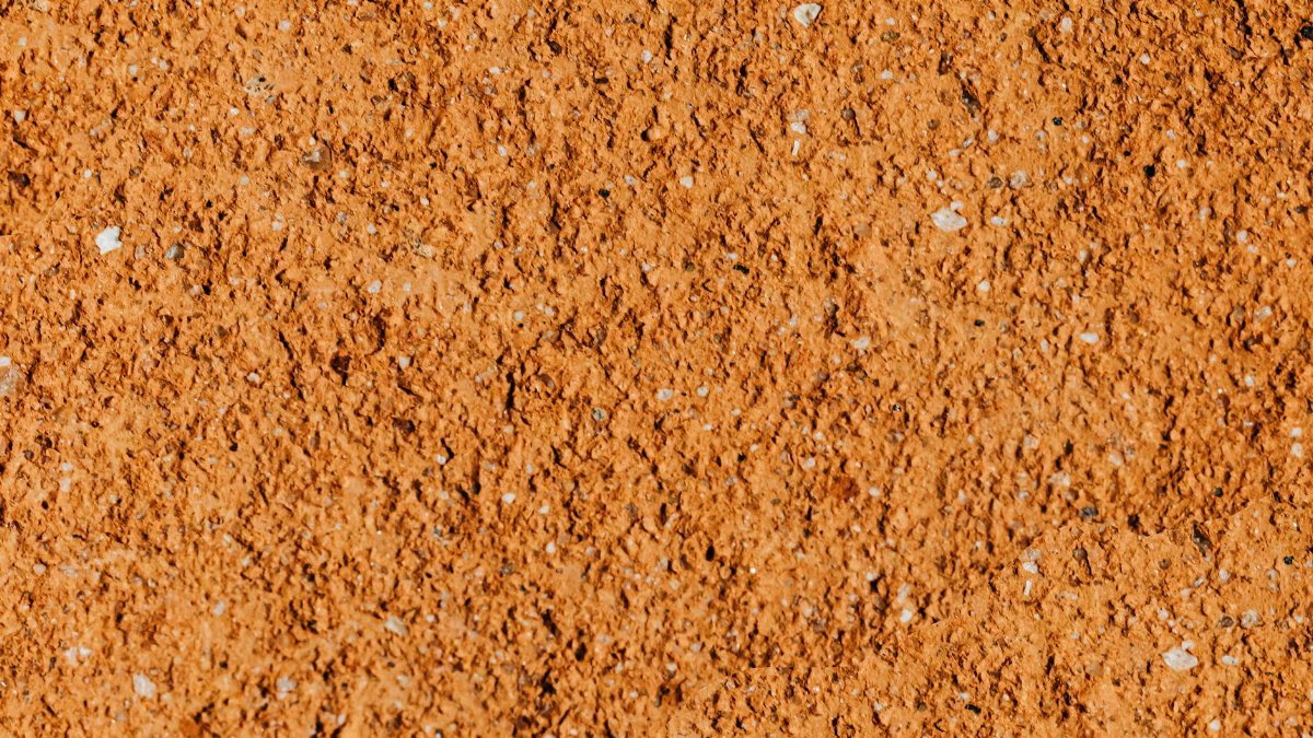 Detailed close-up of a rough, textured orange surface perfect for backgrounds or wallpapers.
