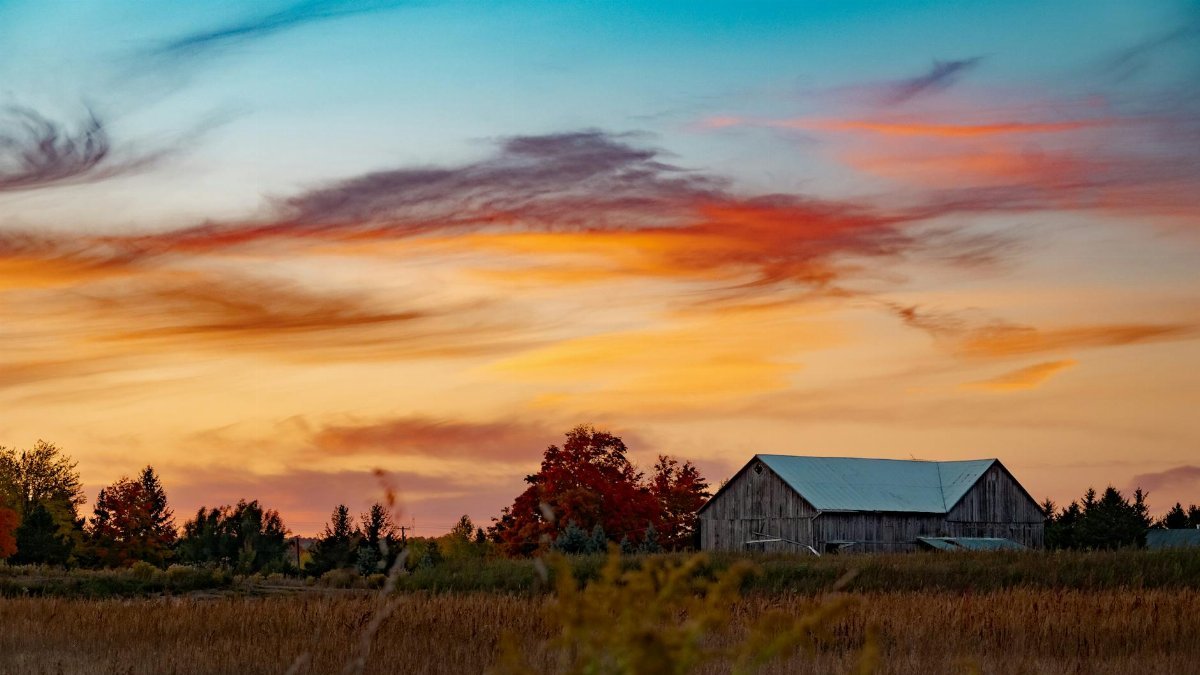 A rustic barn stands against a vibrant sunset in the rural landscape of Shelburne, Ontario.