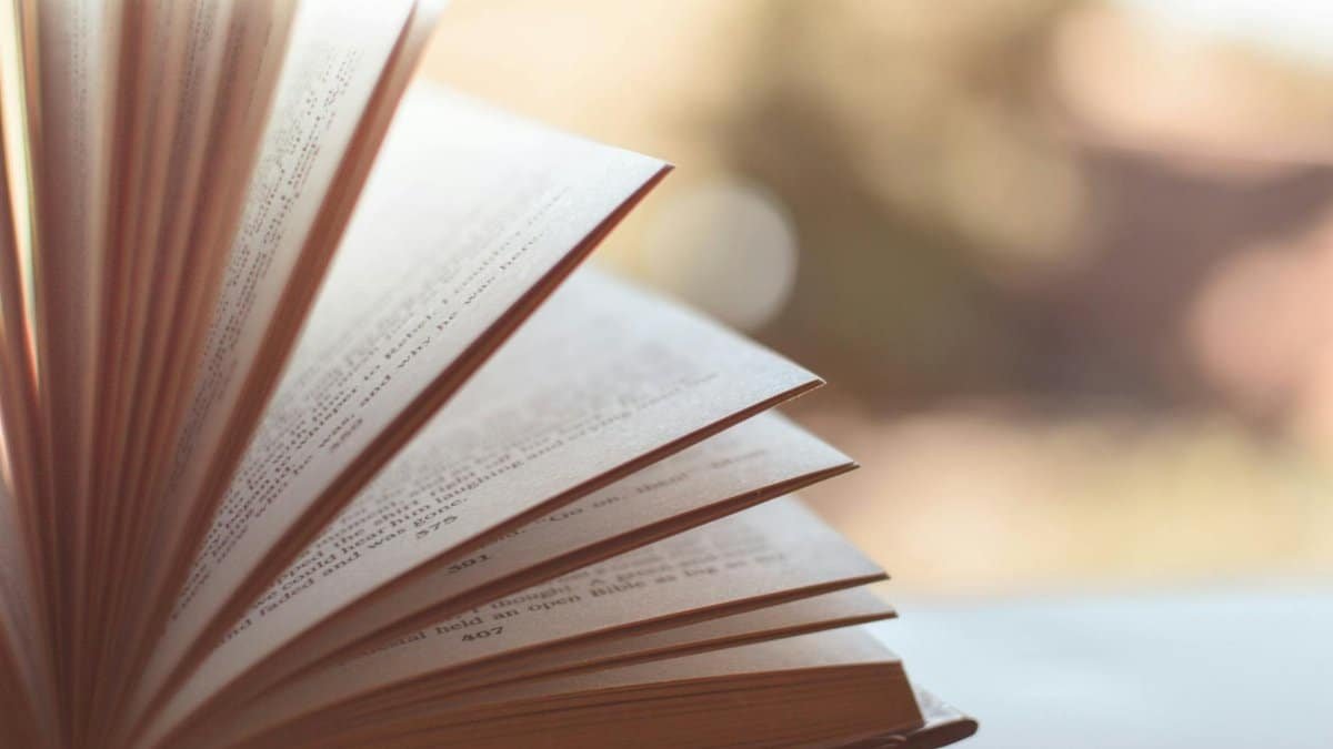 Close-up view of an open book with pages fanned out against a soft blurred background.
