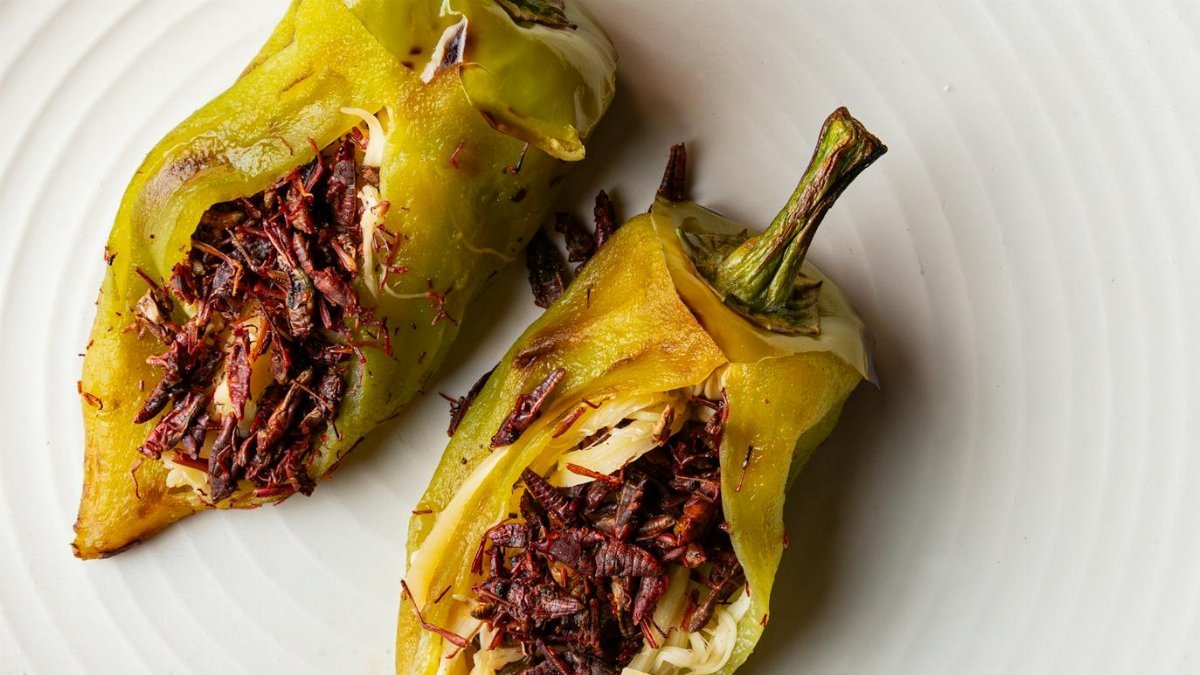 Close-up of Mexican cuisine featuring stuffed peppers with chapulines, captured in a square format.