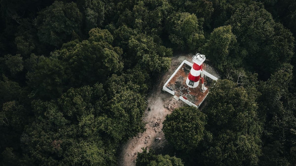 Stunning aerial view of the iconic Assateague Lighthouse surrounded by lush greenery, providing a unique landscape perspective.