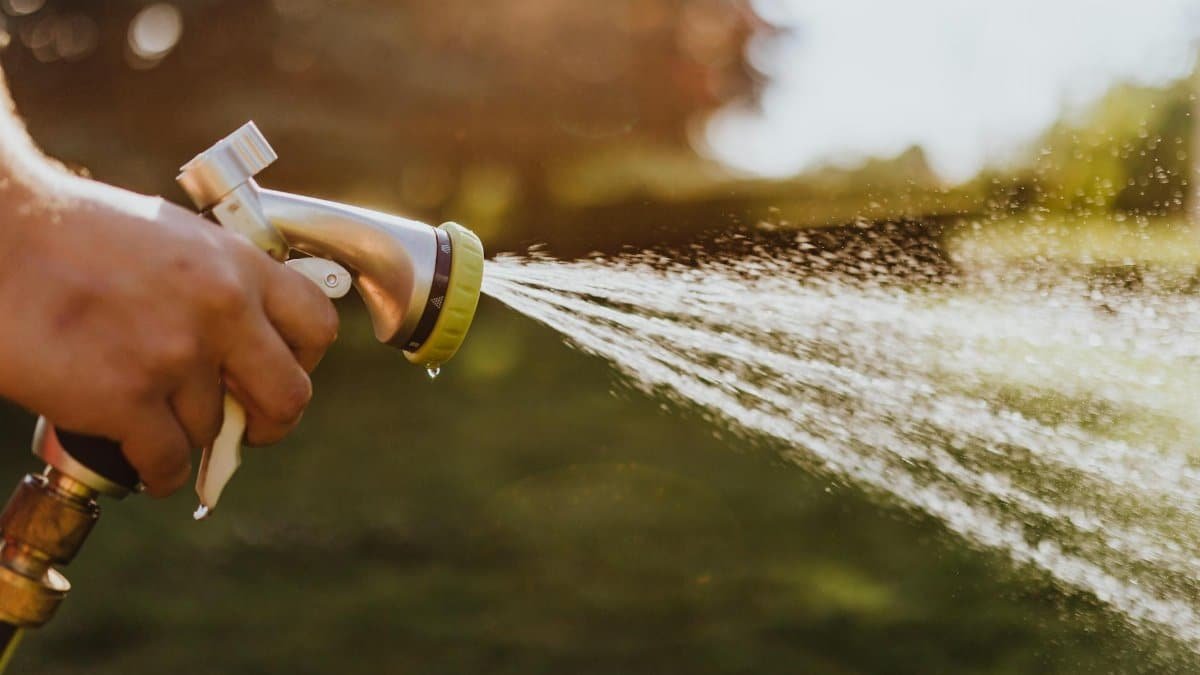 Close-up of a hand holding a garden hose, spraying water outdoors on a sunny day.