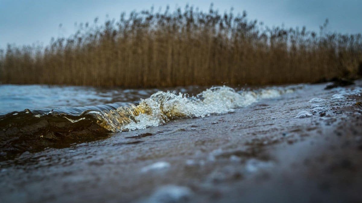 Calm waves lap against the shore of a tranquil lake during a cool, overcast day.