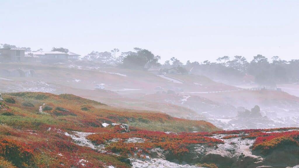 Enchanting coastal view with misty skies and vibrant fields, perfect for nature lovers.