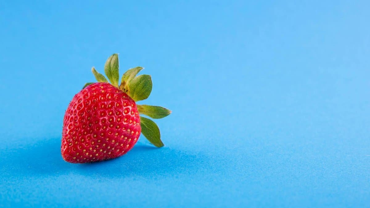 Vibrant close-up of a ripe strawberry on a blue backdrop, showcasing freshness.