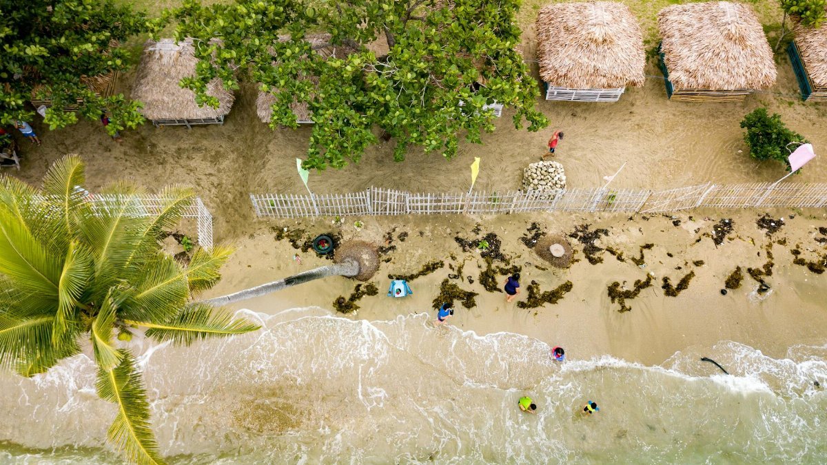 Aerial shot of tropical beach with nipa huts, palm trees, and seawaves.
