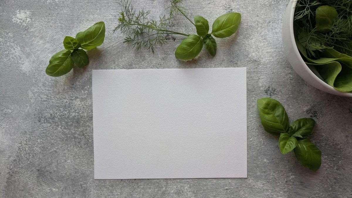 Top view of fresh basil and dill herbs with blank paper on rustic surface.