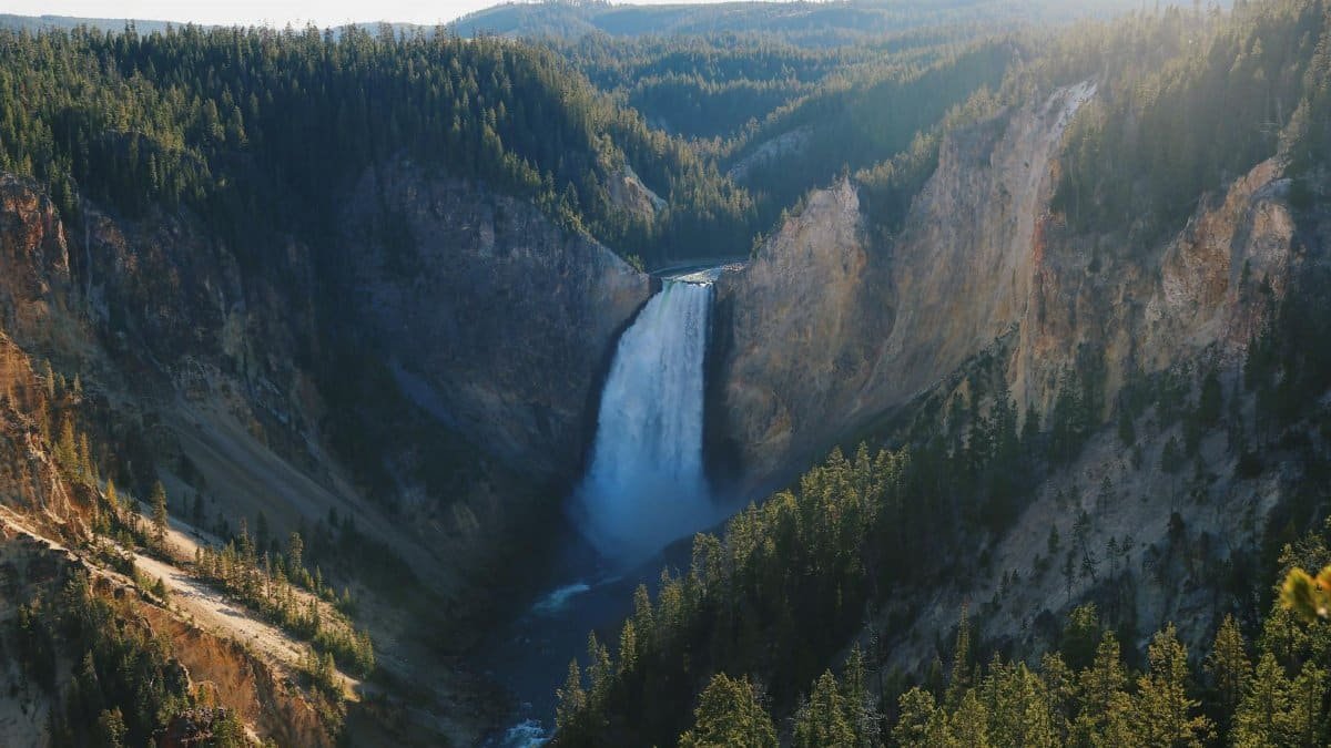 Experience the breathtaking beauty of Lower Yellowstone Falls in Yellowstone National Park.
