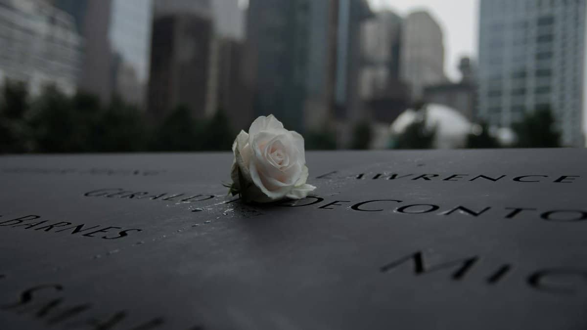 A white rose placed on the 9/11 memorial in New York City, symbolizing remembrance and grief.