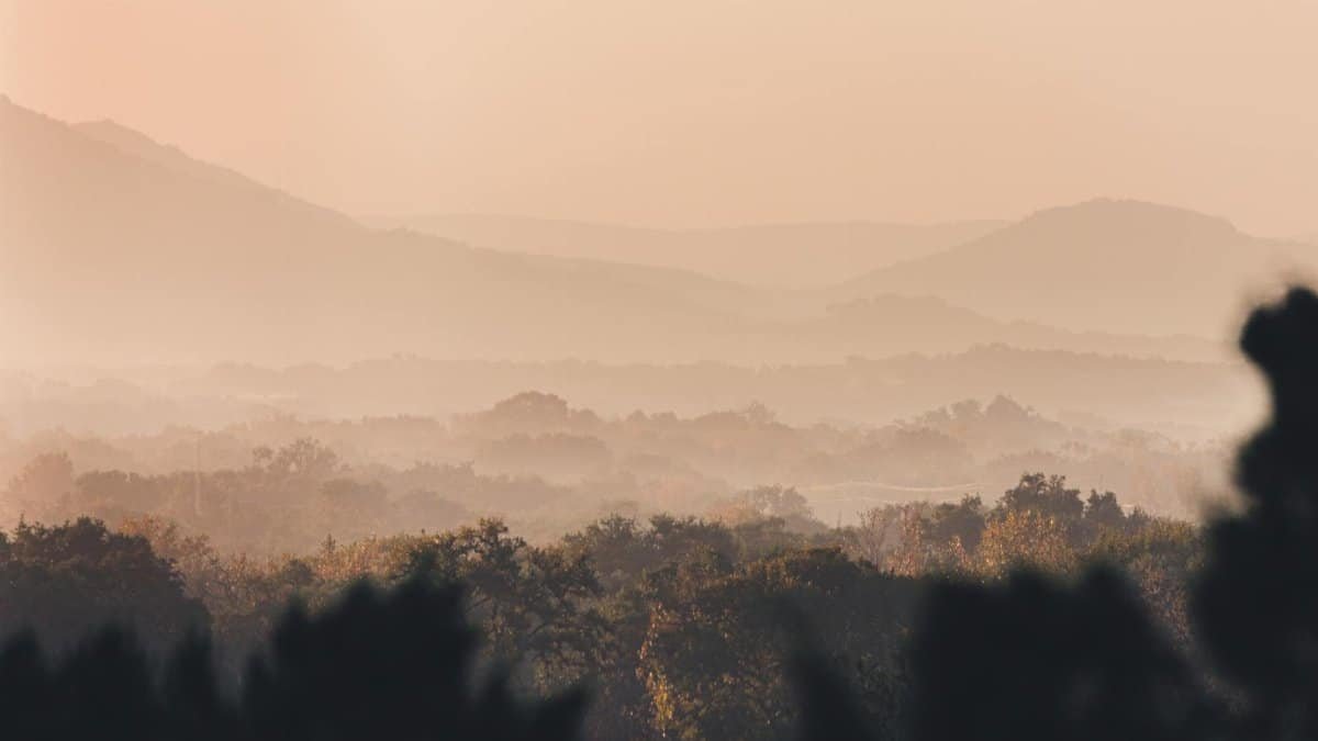 Scenic misty morning view of rolling hills and trees in Hill Country, Texas.