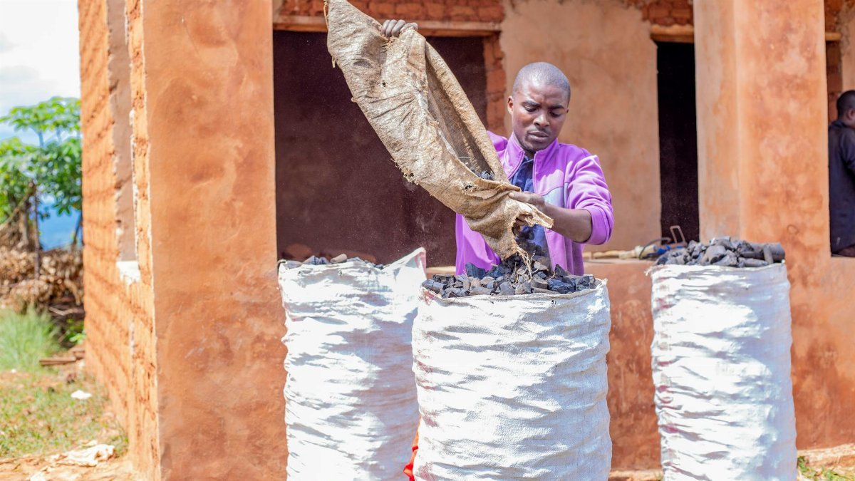 A man diligently fills sacks with coal in a rural, outdoor setting on a sunny day.