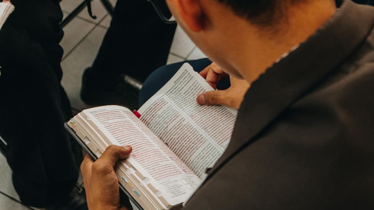 High angle back view of crop unrecognizable male in casual wear and eyeglasses sitting on bench and reading book in public place