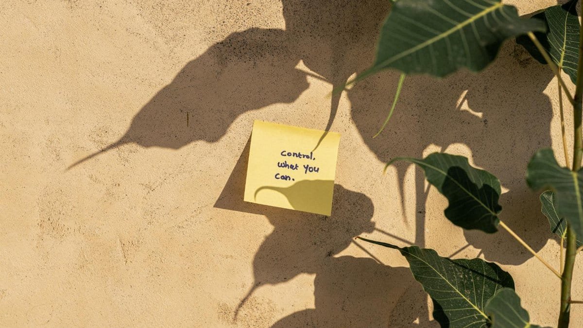 A motivational note on a wall surrounded by plant shadows in Dubai's sunlight.