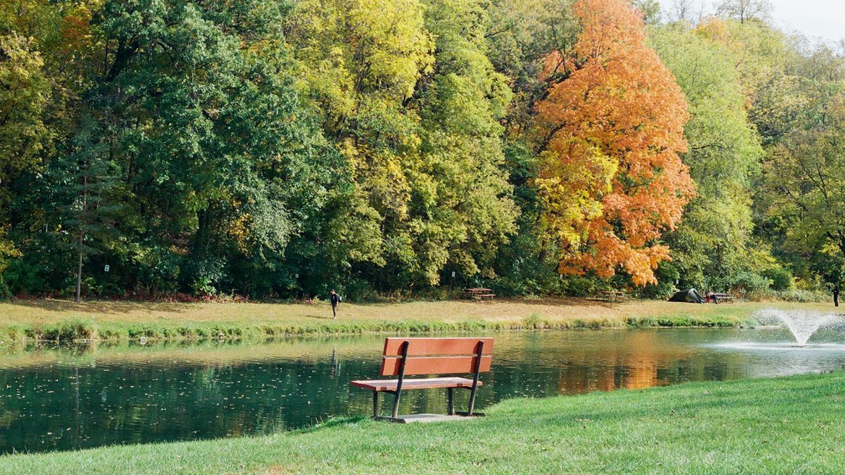 A peaceful park scene with autumn trees, a bench by the river, and a fountain.