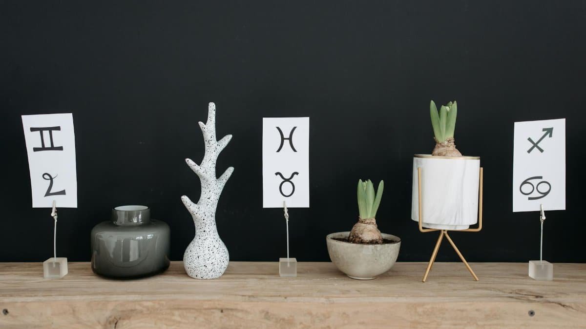 Modern decor featuring potted plants and zodiac symbols on a wooden table with a stylish touch.