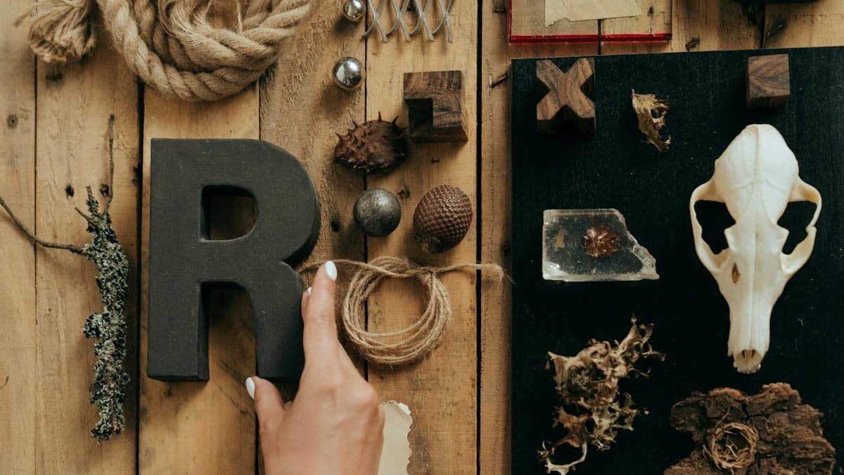 Creative flat lay featuring eclectic natural materials, rope, and a skull on wooden background.