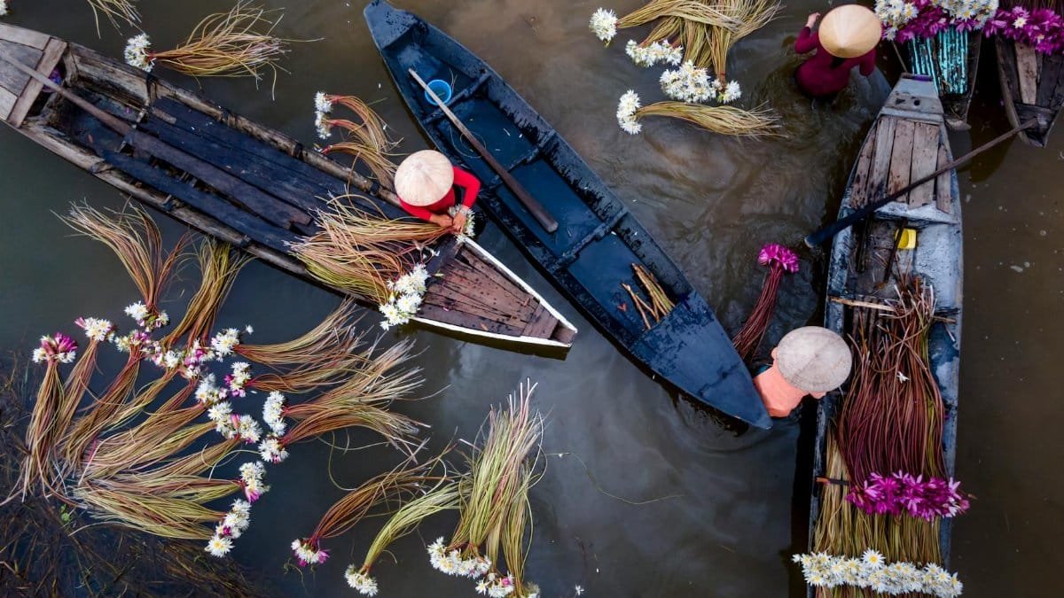 Stunning aerial shot of traditional Vietnamese flower vendors navigating boats on a waterway.