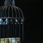 A dollar bill imprisoned in a decorative cage symbolizing financial confinement.