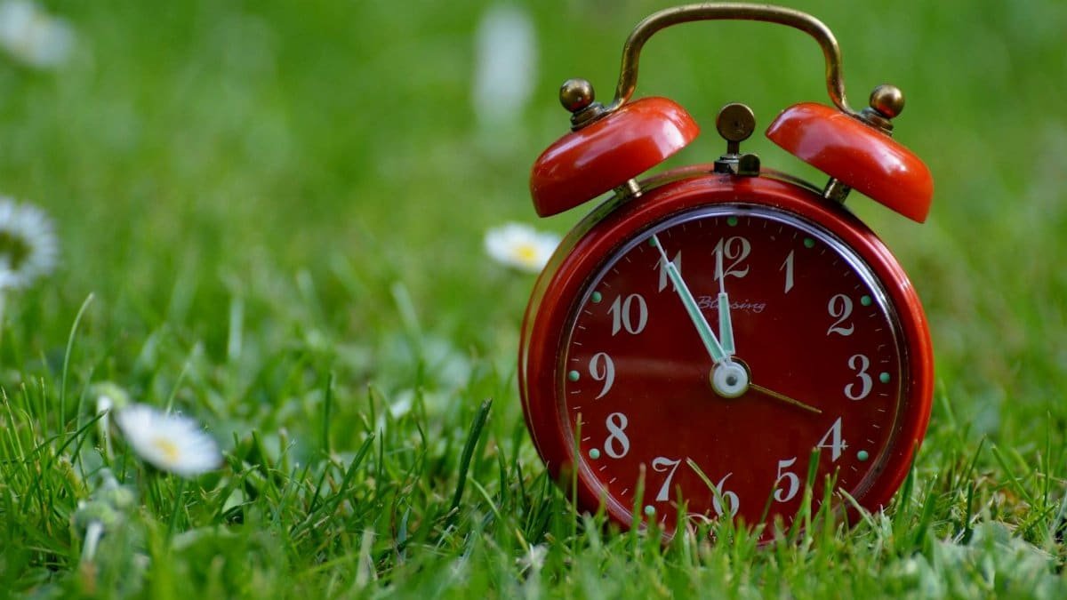 Red vintage alarm clock on lush green grass, symbolizing time and nature.
