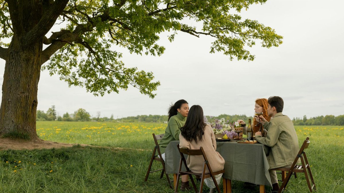 Group of friends having a relaxed picnic outdoors in a scenic grassy field.
