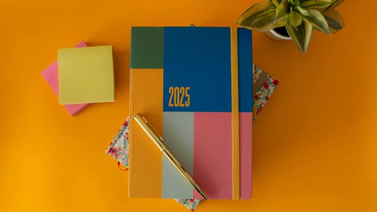 A vibrant flat lay of a 2025 planner, pen, sticky notes, and plant on a bright background.