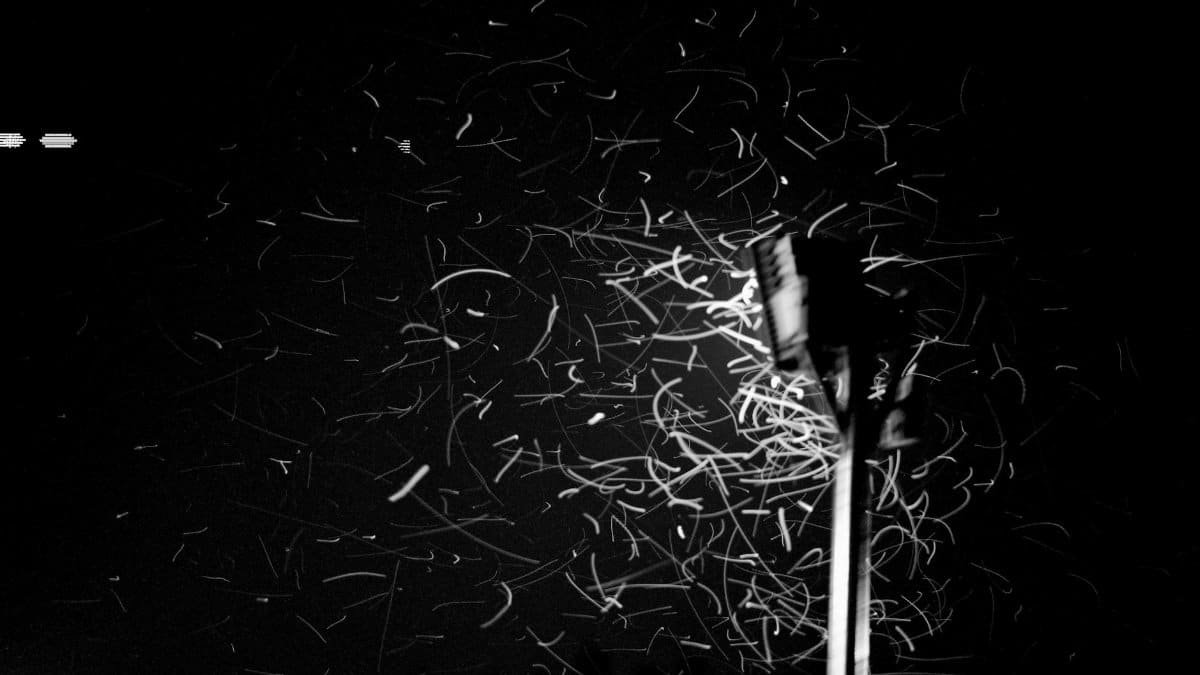 A black and white scene capturing motion blur of insects around a streetlight at night.