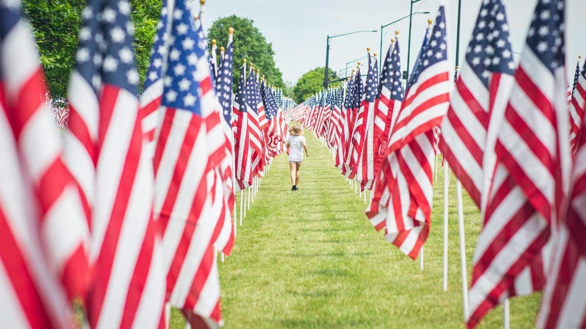 A child walks through a field lined with American flags on a sunny day, symbolizing freedom.