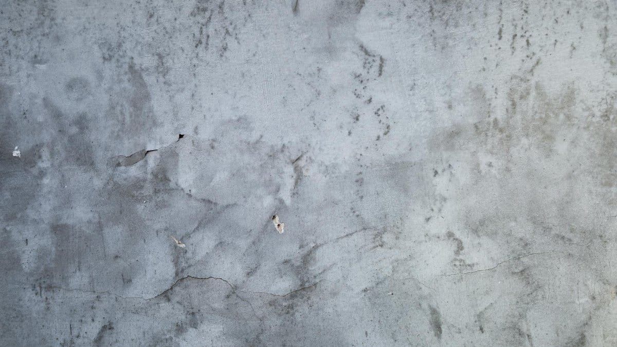Close-up of a weathered concrete wall showing intricate textures and subtle cracks.