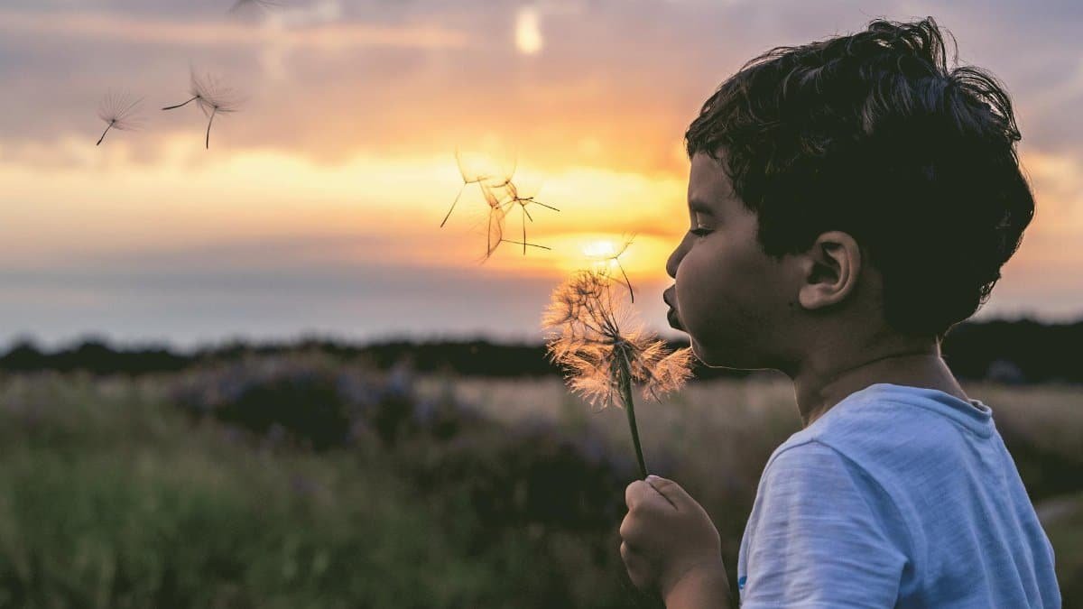 A young boy blows a dandelion in an outdoor setting during sunrise, with seeds dispersing.