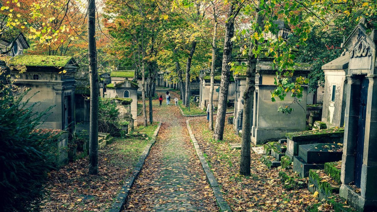 Serene autumn view in a historic cemetery with people walking on a tree-lined path.
