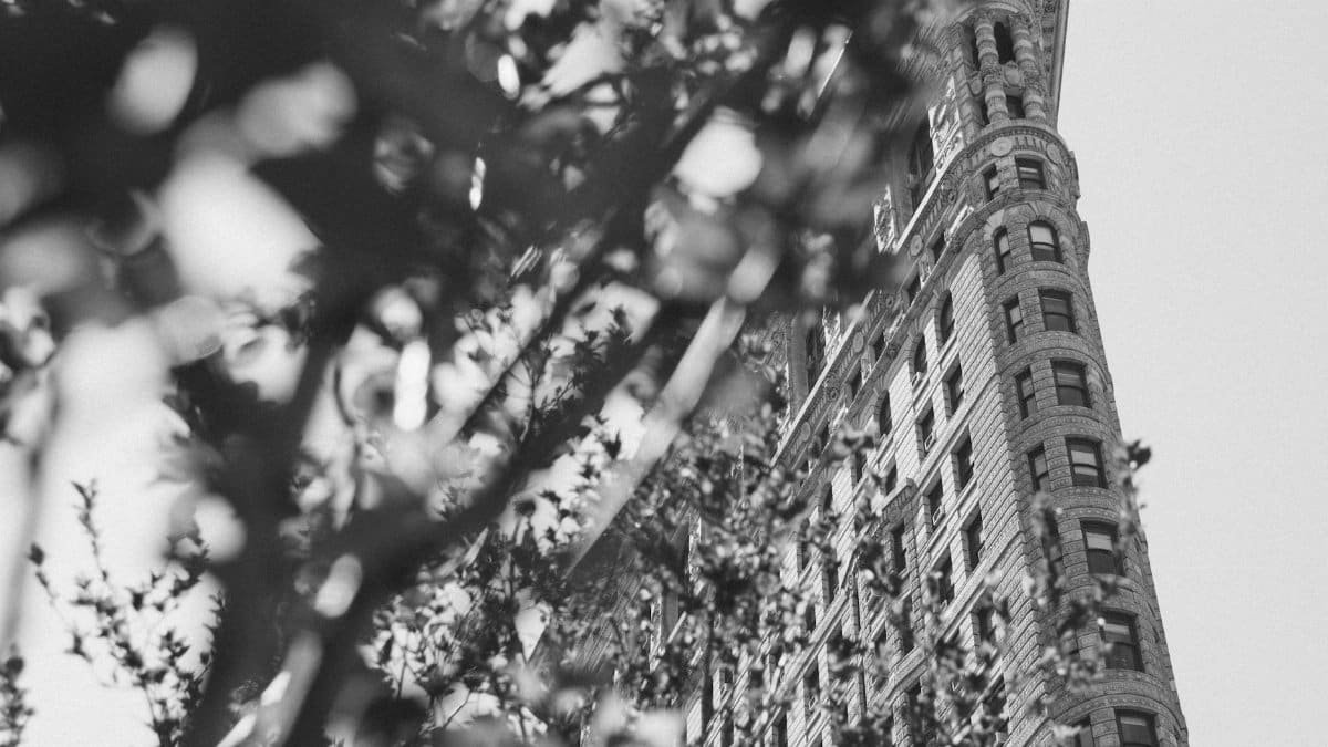 Artistic black and white view of the Flatiron Building in New York City, framed by tree branches.