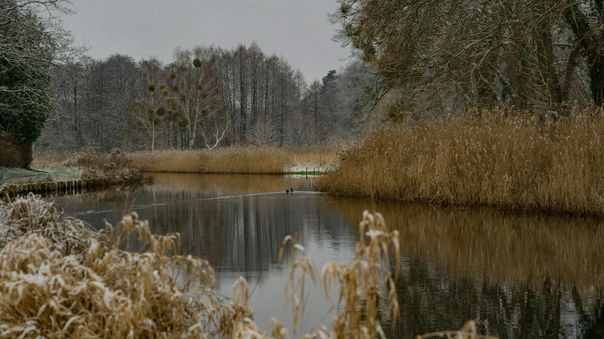 A tranquil winter canal landscape with frosty trees and calm water reflecting the season's chill.