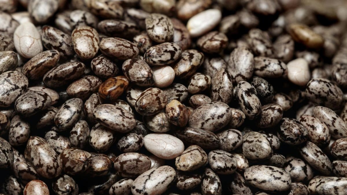 Detailed macro shot of chia seeds, highlighting their texture and nutritional value for a healthy diet.