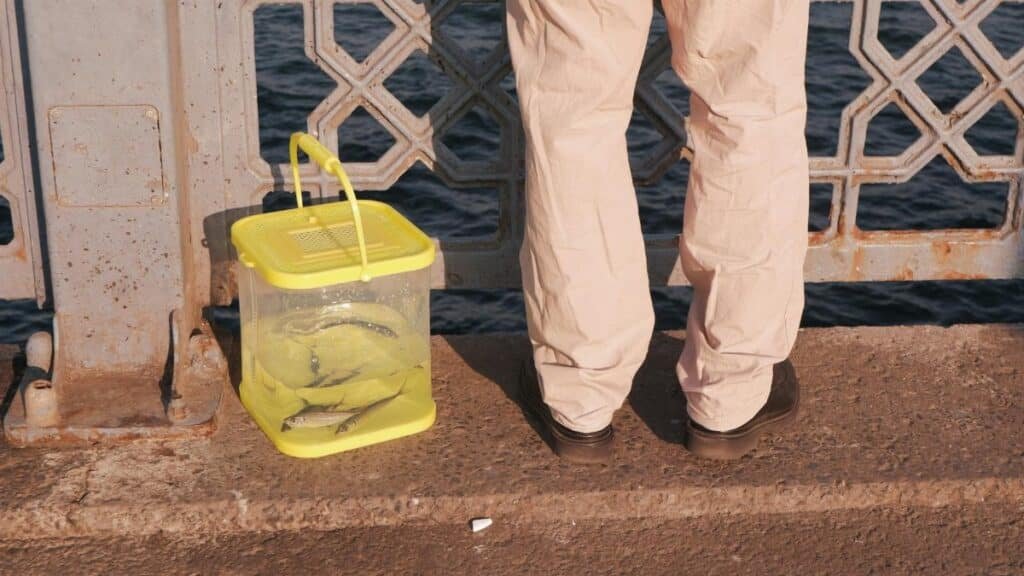 Person standing by a bridge railing with a bucket containing fish, overlooking water.