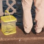 Person standing by a bridge railing with a bucket containing fish, overlooking water.